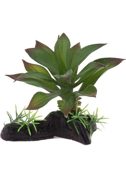 2 Adet Sürüngen Teraryum Bitki Habitat Gizleme Bitkiler Akvaryum Manzara Dekorasyon (Yurt Dışından) fiyatları