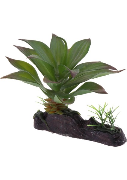 2 Adet Sürüngen Teraryum Bitki Habitat Gizleme Bitkiler Akvaryum Manzara Dekorasyon (Yurt Dışından) fırsatları