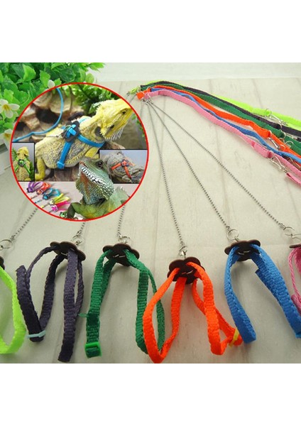 Ayarlanabilir Sürüngen Kertenkele Koşum Tasma Halat Işık Yumuşak Anti-Isırık Turuncu (Yurt Dışından) fiyatları