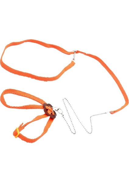 Ayarlanabilir Sürüngen Kertenkele Koşum Tasma Halat Işık Yumuşak Anti-Isırık Turuncu (Yurt Dışından) fırsatları