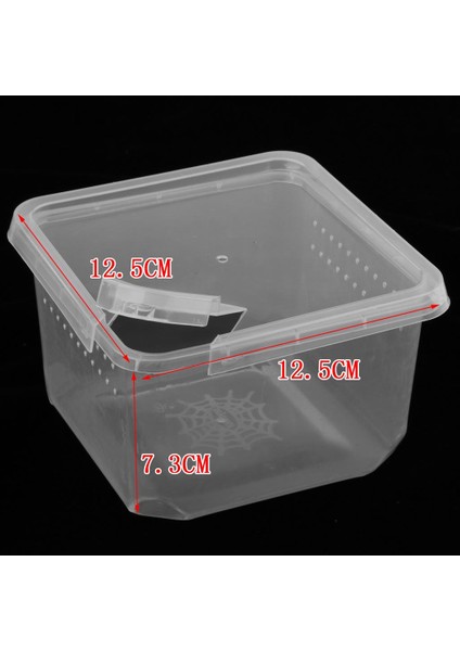 2 Adet 2 Boyutu Plastik Böcek Kaplumbağa Örümcek Habitat Besleme Kutusu Konteyner Tankı (Yurt Dışından)