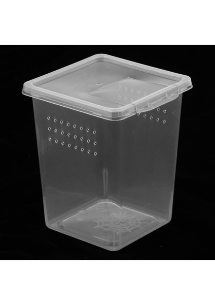 2 Adet 2 Boyutu Plastik Böcek Kaplumbağa Örümcek Habitat Besleme Kutusu Konteyner Tankı (Yurt Dışından)