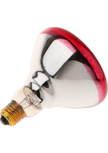 4x Isı Ampul Üreme Lambası Isı Yeminli Kızılötesi Isıtıcı Tipi 4 - 100W (Yurt Dışından) indirimleri