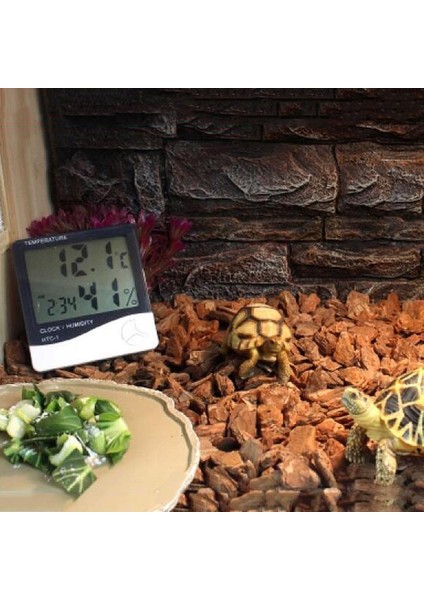 Kaplumbağa Gecko Sürüngen Vivarium Akvaryum Için Reçine Besleme Kasesi # 2 (Yurt Dışından) modelleri