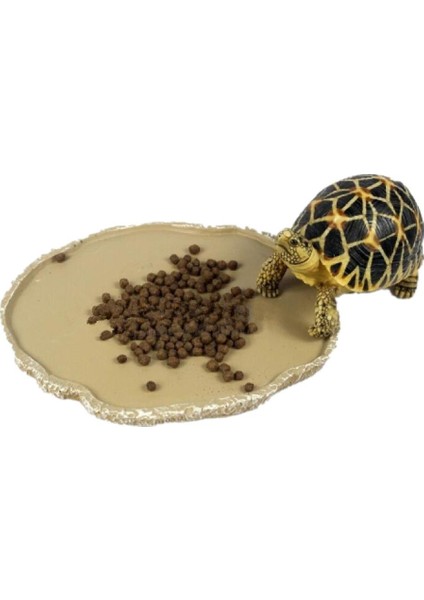 Kaplumbağa Gecko Sürüngen Vivarium Akvaryum Için Reçine Besleme Kasesi # 2 (Yurt Dışından) indirimleri