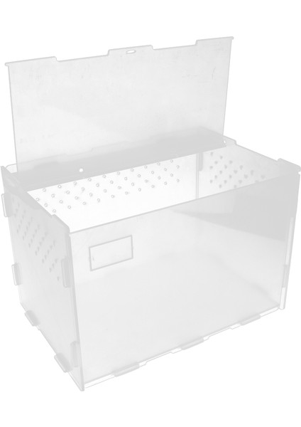 Böcek Sürüngen Taşıma Için Akrilik Besleme Kutusu (Yurt Dışından)