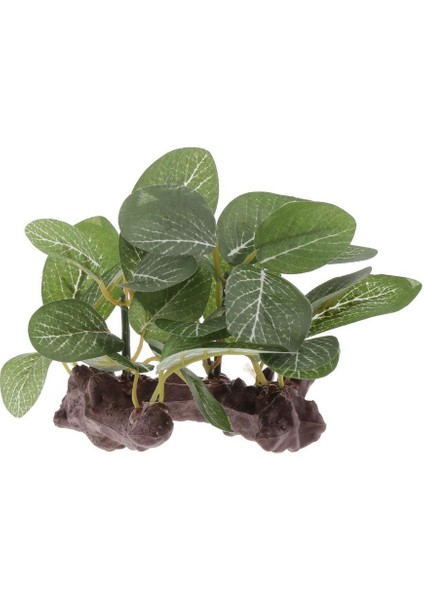 Sürüngen Veya Akvaryum Tankı Için 2 Adet / Takım Reçine Yapay Su Çim Tesisi (Yurt Dışından) indirimleri