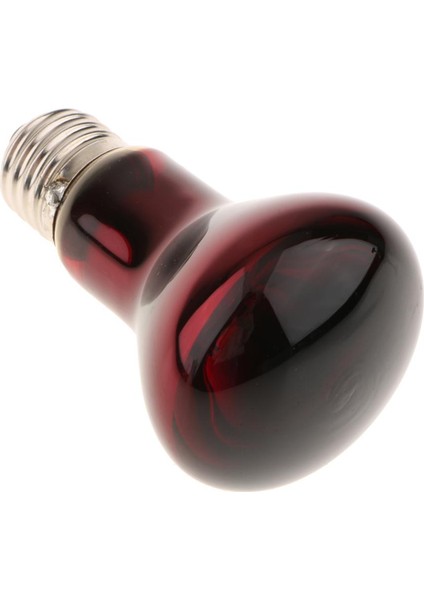 Sürüngen Kaplumbağa Amfibi Nightlight Kızılötesi Işık E27 Baz Isı Lambası 100 W (Yurt Dışından) indirimleri