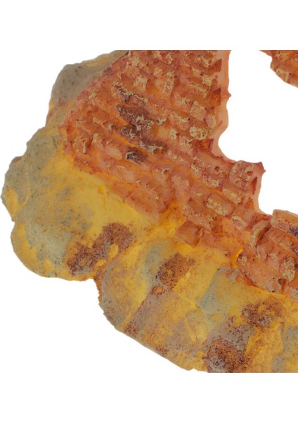 Sürüngen Kutusu Teraryum Vivarium Dıy Dekorasyon Için Reçine Süsleme # 2 Piramit (Yurt Dışından) fırsatları