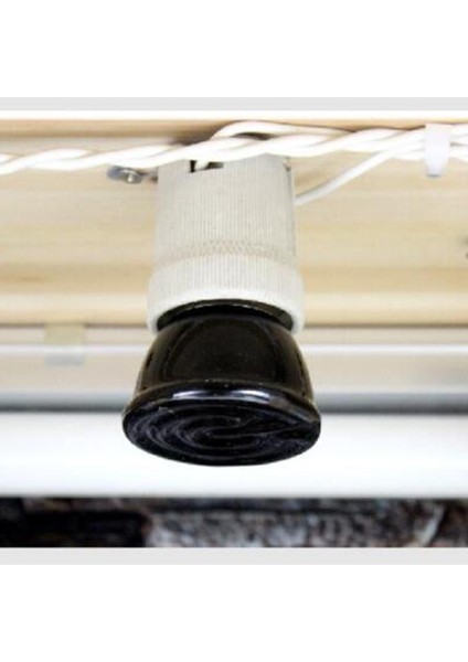 2 Adet 100 W Sürüngen Basınç Spot Lamba Kızılötesi Verici Ampul Vivarium Işığı E27 (Yurt Dışından) fırsatları