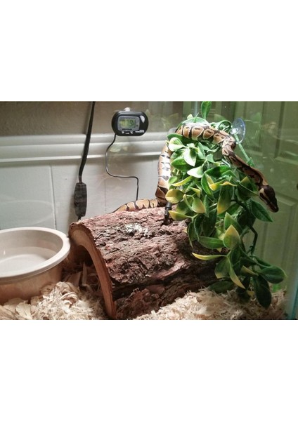 12 "sürüngen, Nake, Kaplumbağa, Vivarium Bitkileri Dekor Süsleme Yapay Ivy Vines S (Yurt Dışından)