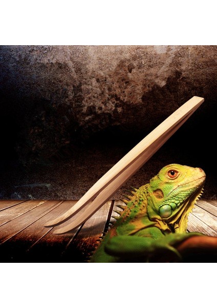 16.5 cm Çevre Dostu Bambu Cımbız Pet Böcekler Bahçe Büküm Besleme Aracı Bambu 16.5 cm (Yurt Dışından) fırsatları