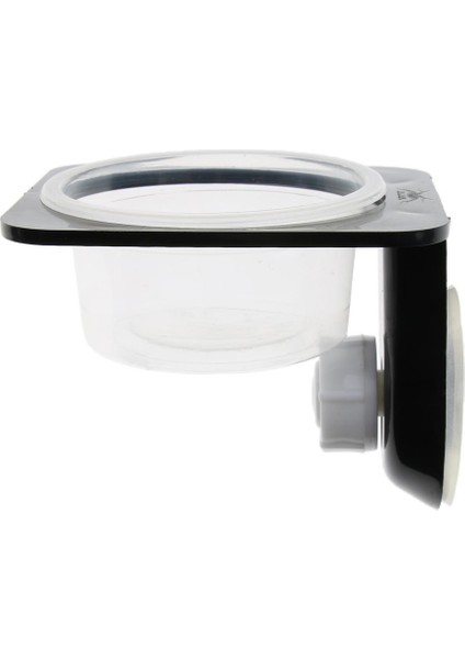 Solucan Gecko Beetle Için Vantuzlu 3 Adet Çift Tek Sürüngen Besleme Kase (Yurt Dışından) fırsatları