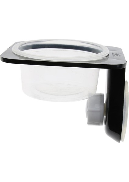 Solucan Gecko Beetle Için Vantuzlu 3 Adet Çift Tek Sürüngen Besleme Kase (Yurt Dışından) indirimleri