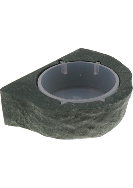 Gecko Diyet Için 2x Manyetik Gecko Besleyici Çıkıntı / Sürüngen Gıda Tutucu Kase (Yurt Dışından) modelleri