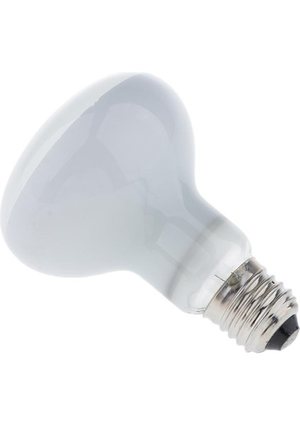 2x Sürüngen Uva Tutking Spot Isı Spot Işık 25W & 75W Pet Amfibi Yılanlar (Yurt Dışından) modelleri