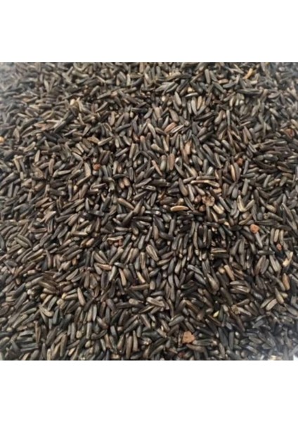 Hanımeli Pet Store Nijer Tohumu 1kg Kuşlar Için Nijer Tohum Yemi Kızıştırıcı Yem fiyatları