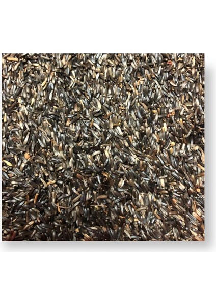 Hanımeli Pet Store Nijer Tohumu 1kg Kuşlar Için Nijer Tohum Yemi Kızıştırıcı Yem modelleri