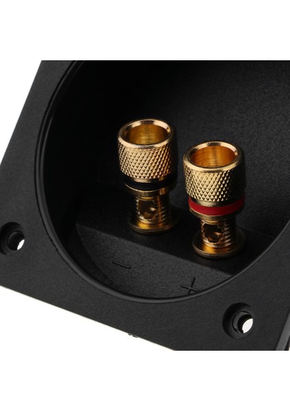 Subwoofer Hoparlör 2-Yollu Terminal Bağlama Sonrası Bahar Kupası Konnektörleri 80-500