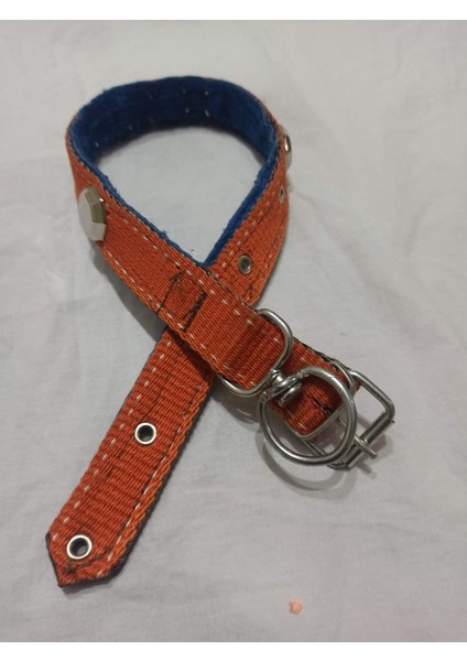 Orta Irk Süslü Köpek Tasmasi Boy 60 cm En 3 cm fiyatları