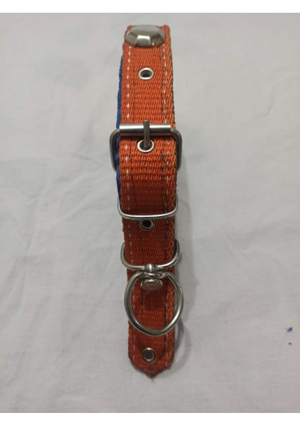 Orta Irk Süslü Köpek Tasmasi Boy 60 cm En 3 cm modelleri