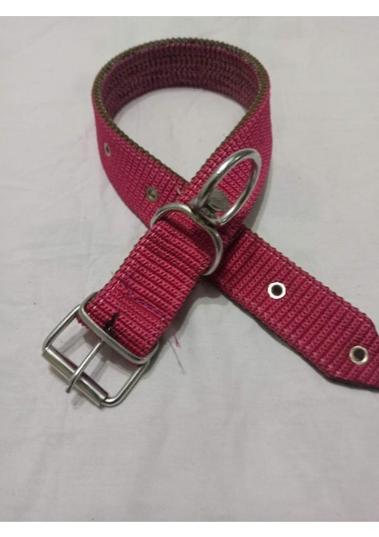 Büyük Irk Köpek Tasmasi Boy 70 cm En 4 cm Kozak Büyük Irk Köpek Tasmasi Boy 70 cm En 4 cm Kozak Büyük Irk Köpek Tasmasi Boy 70 cm En 4 cm Kozak Büyük Irk Köpek Tasmasi Boy 70 cm En 4 cm
