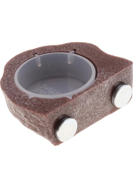 Gecko Diyet Için 2 Adet Manyetik Gecko Besleyici Çıkıntı / Sürüngen Gıda Tutucu Kase (Yurt Dışından) modelleri