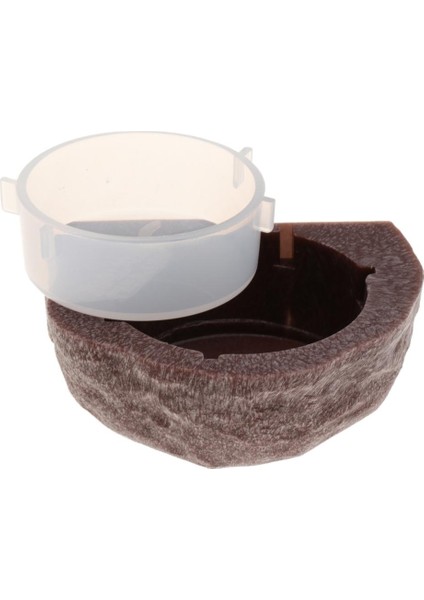 Gecko Diyet Için 2 Adet Manyetik Gecko Besleyici Çıkıntı / Sürüngen Gıda Tutucu Kase (Yurt Dışından) fırsatları