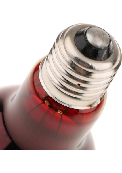 Doğal Moonlight E27 Uva Aydınlatma Gibi Sürüngen Teraryum Isı Lambası 40W (Yurt Dışından) indirimleri