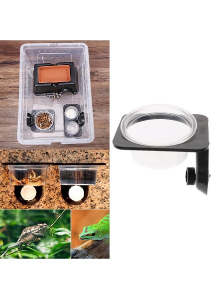 Amfibiler Gecko ve Vida Sabit Sabit Sürüngen Su Çanak ve Gıda Kase (Yurt Dışından) modelleri