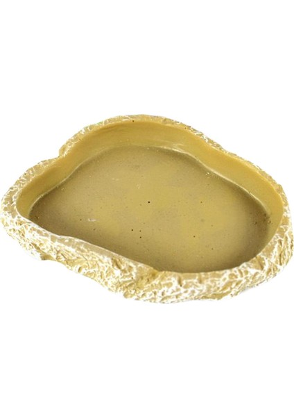 Gecko Bukalemun Kertenkele Için Sürüngen Gıda Kase Solucan Teraryum Su Çanak (Yurt Dışından)