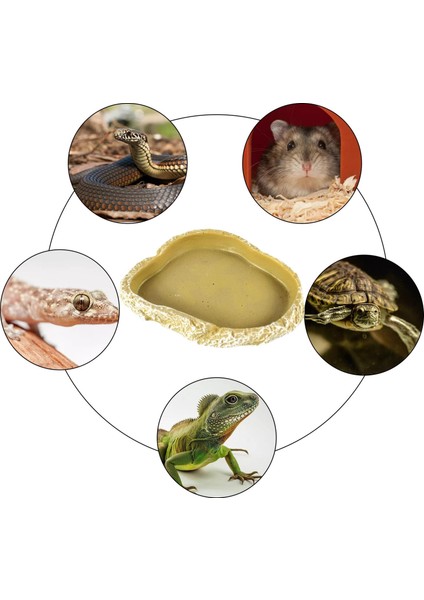 Gecko Bukalemun Kertenkele Için Sürüngen Gıda Kase Solucan Teraryum Su Çanak (Yurt Dışından) modelleri