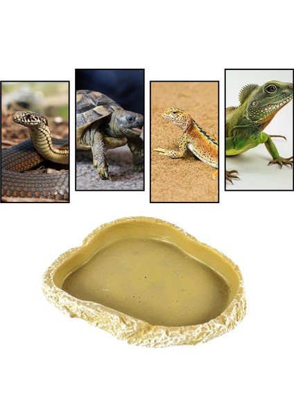 Gecko Bukalemun Kertenkele Için Sürüngen Gıda Kase Solucan Teraryum Su Çanak (Yurt Dışından) fırsatları