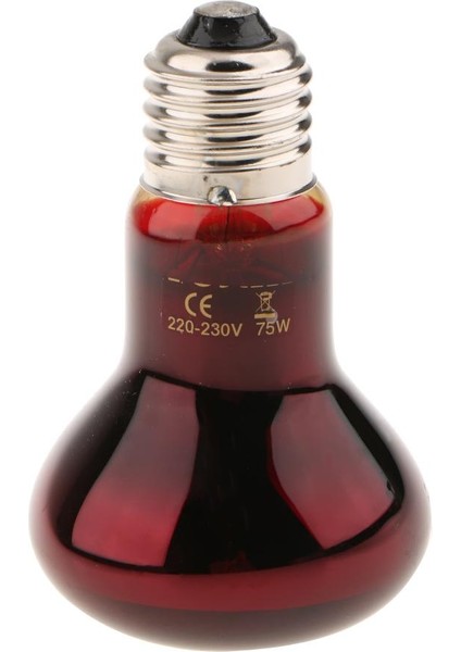 3x Sürüngen Nightlight Isı Lambası E27 Baz Uva Gece Görünümü Isı Işık Ampul 75W (Yurt Dışından) indirimleri