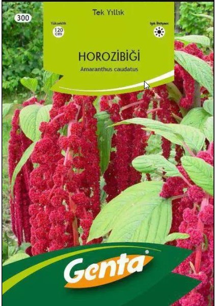 Horozibiği