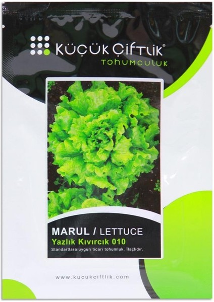 Marul Yazlık Kıvırcık 10GR