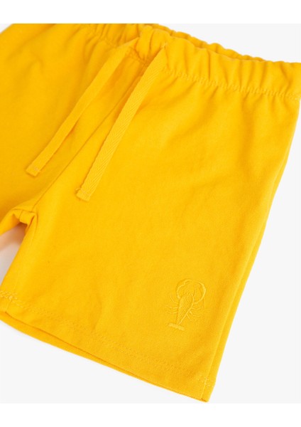 Erkek Çocuk Basic Şort Beli Bağcıklı