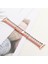 Puluz Apple Watch Uyumlu 7 41Mm / 6&Se&5&4 40Mm / 3&2&1 38Mm Için Kayış Kırmızı Mavi Gül Altın 5
