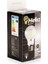 10'lu LED Ampul 6W 6500K E27 ( Beyaz ) ( A60 ) 3