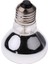 R65 Kızılötesi Pet Isıtıcı Lambası Isıtma Lambası Gümüş 25 W (Yurt Dışından) 2
