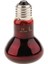Doğal Moonlight E27 Uva Aydınlatma Gibi Sürüngen Teraryum Isı Lambası 50W (Yurt Dışından) 1