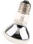 Pet Isı Lambası Lightbulb Kızılötesi Isıtıcı Kertenkele Üreme Isı Lambası Ampul 100 W (Yurt Dışından) 5