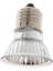 50 W Uva Uvb Sürüngen Isı Ampul Teraryum Kertenkele Kaplumbağa Için Glow Lambası (Yurt Dışından) 5