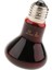 Sürüngen Kaplumbağa Amfibi Nightlight Kızılötesi Işık E27 Baz Isı Lambası 100 W (Yurt Dışından) 2