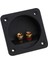 Subwoofer Hoparlör 2-Yollu Terminal Bağlama Sonrası Bahar Kupası Konnektörleri 80-500 5