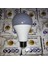 15 W LED Ampul 6500K Beyaz Işık YL95-1501 Noas 2