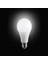 15 W LED Ampul 6500K Beyaz Işık YL95-1501 Noas 3