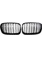 Ön Çift Hattı Izgara Izgara Bmw X5 E70 X5M X6M Abs Siyah Izgaralar (Yurt Dışından) 2