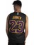 Los Angeles Lakers 23 Lebron James Basketbol Forma 2