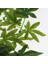 2 Adet Bükülebilir Sürüngenler Asma Orman Dağcı Vines Yapay Dekor 30 cm & 40 cm (Yurt Dışından) 3